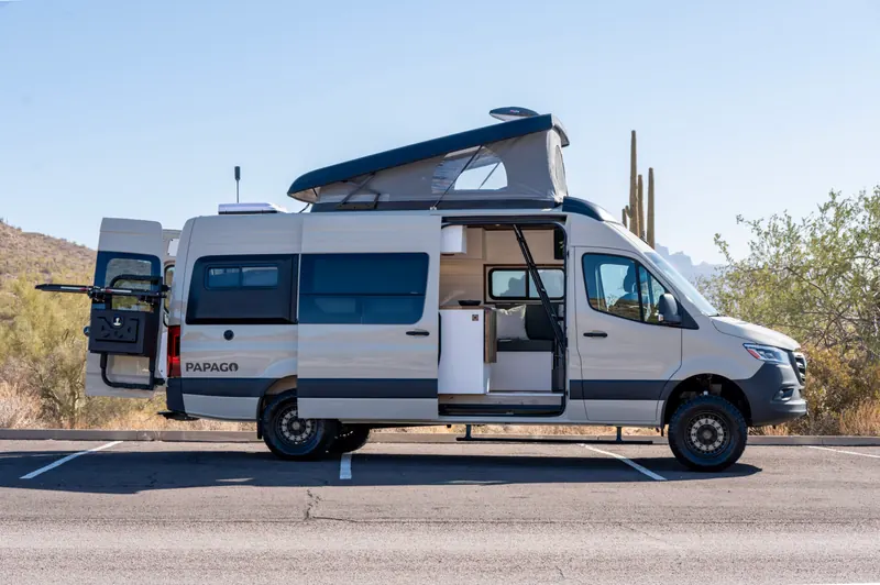 Starlit Roamer