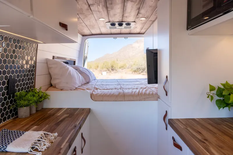 Starlit Roamer