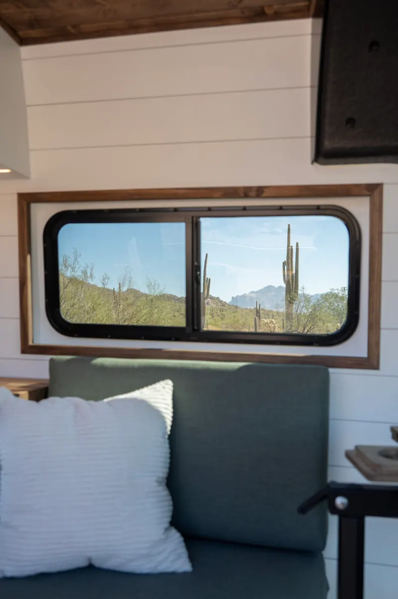 Starlit Roamer