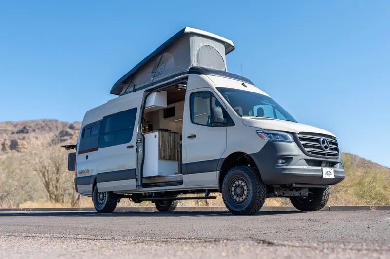 Starlit Roamer