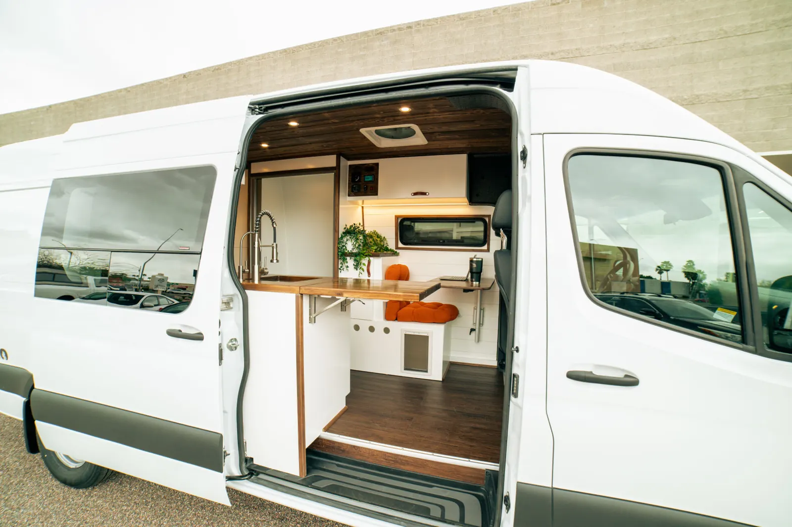 Pet-Friendly Pioneer