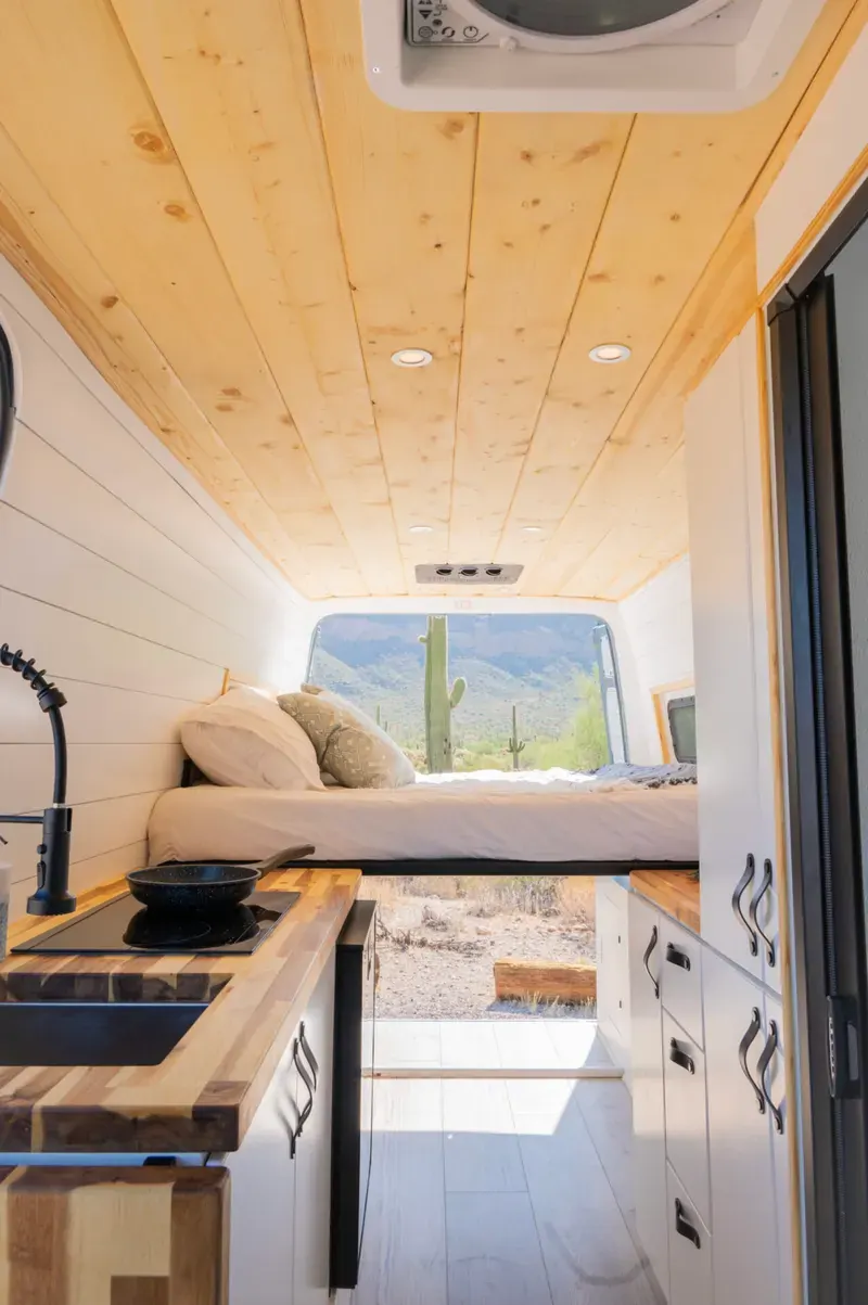 White Pine Voyager