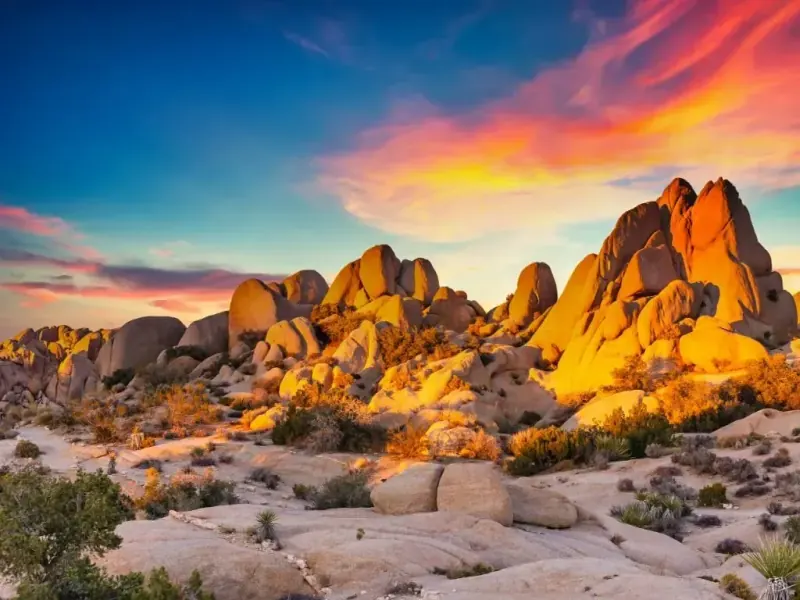 top 10 vanlife travel destinations of 2024